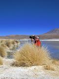 BOLIVIA 2 - Ruta de Las Joyas - Laguna Hedionda - 28